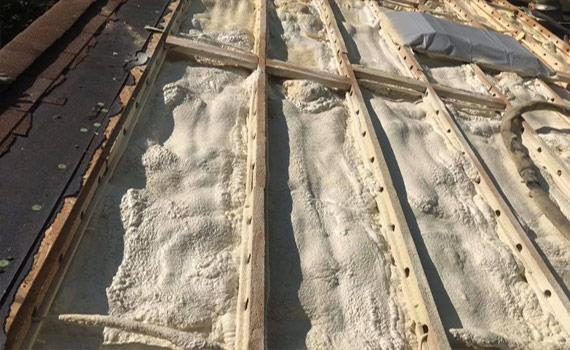 Attic Mold Also Indicates Energy Problems