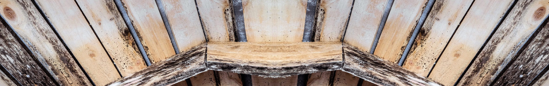 Mold in your Attic Near Charleston, Lexington, Georgetown